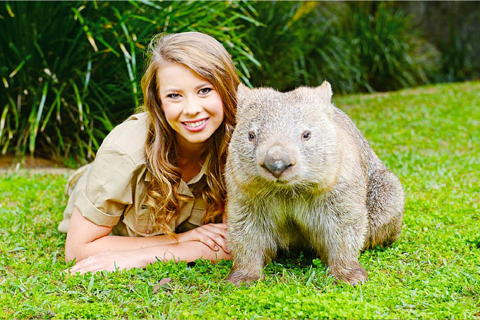 Квокка фото