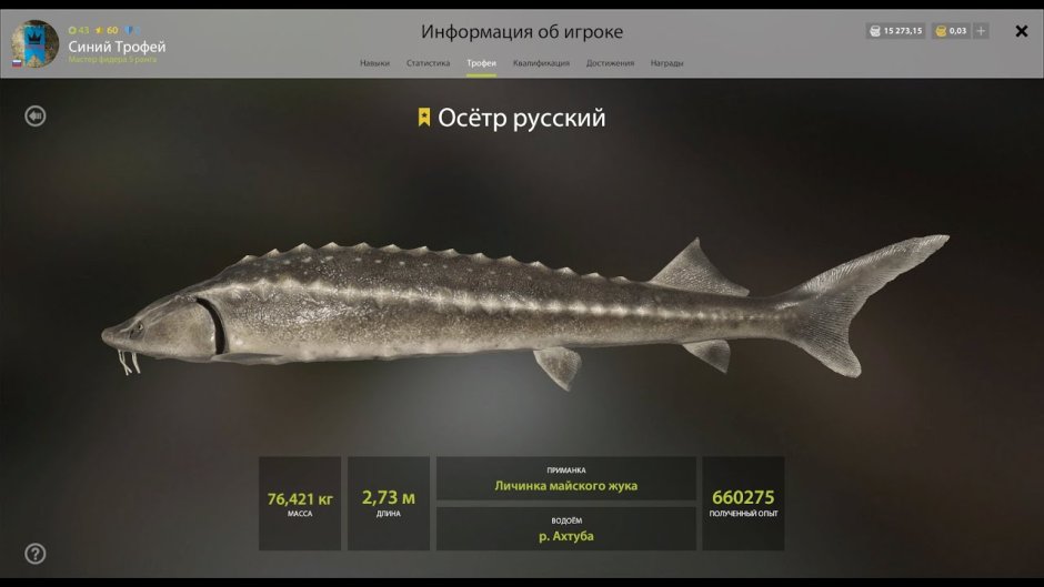 Стерлядь охлажденная