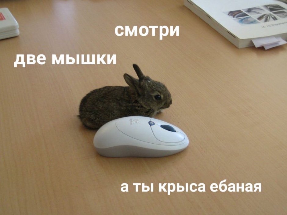 Кролик и мышка