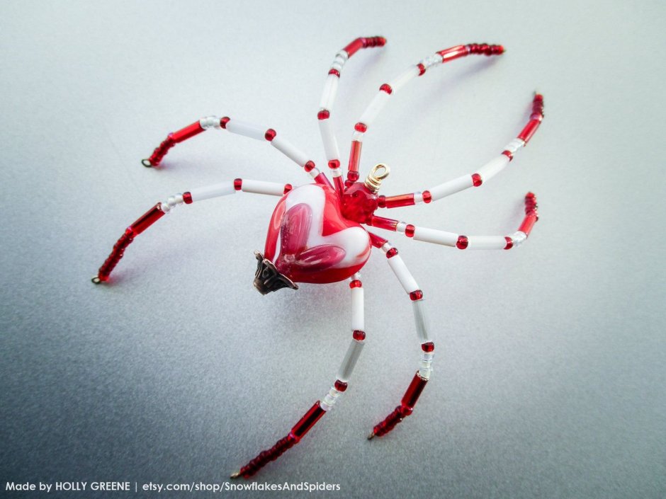 Little Spider with a Heart