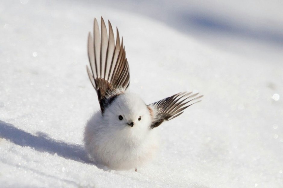 Ополовник икеа