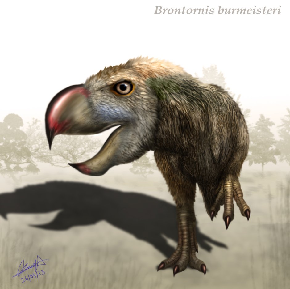 Brontornis burmeisteri