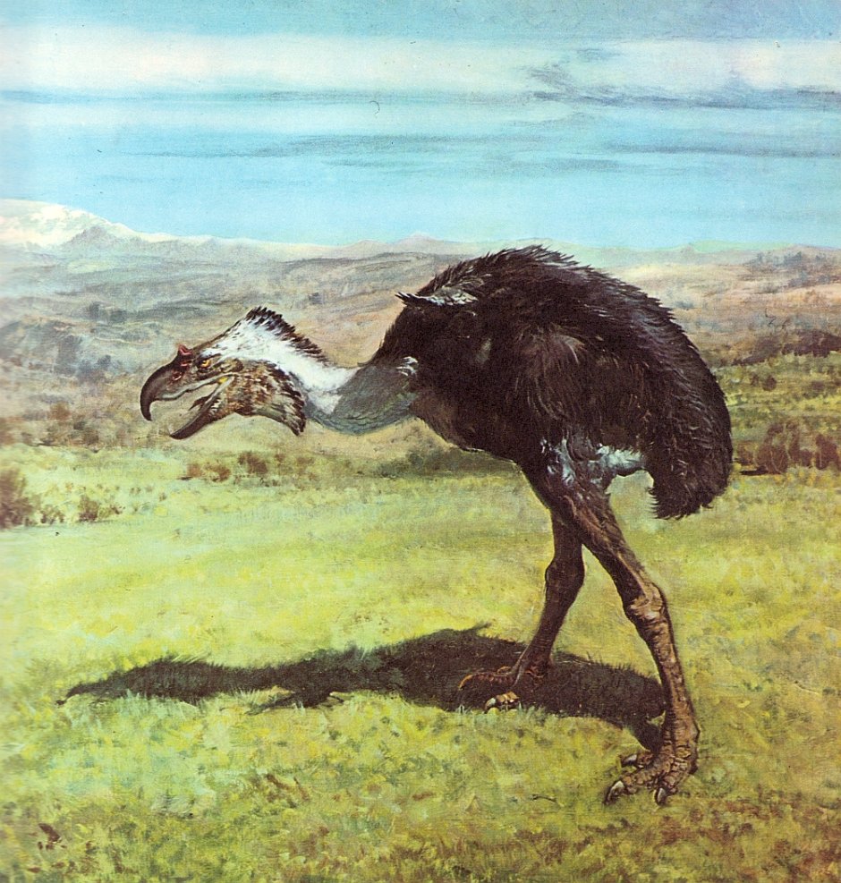 Титанис Уоллера