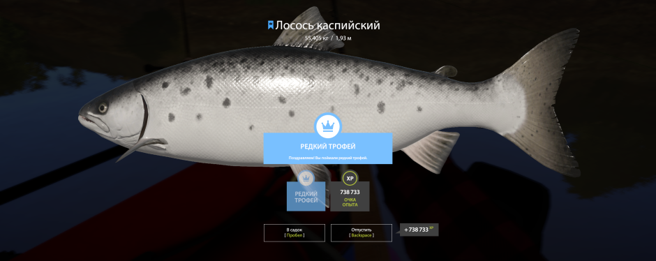 Семга Каспийская