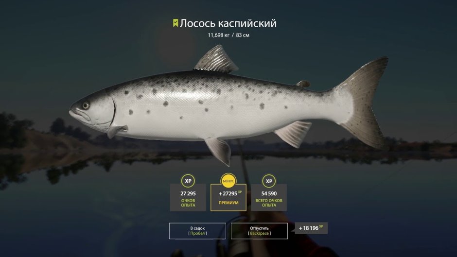 Рр4 спиннинг