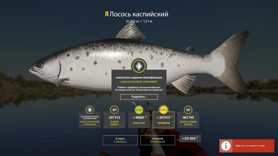 Лосось Ладожский троф рр4