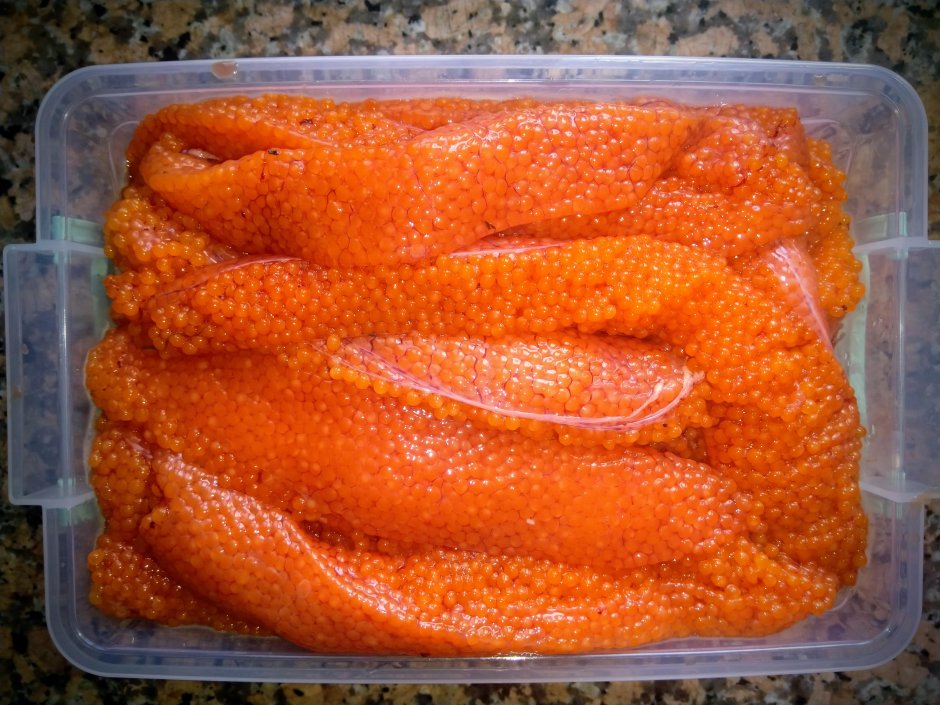 Каспийский лосось