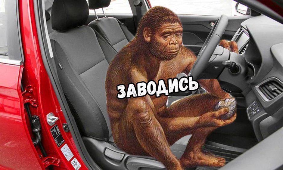 Обезьяна на машинке