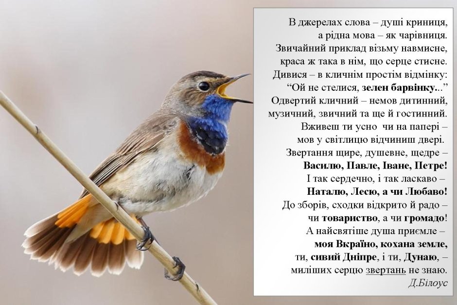 Юрок и Дрозд