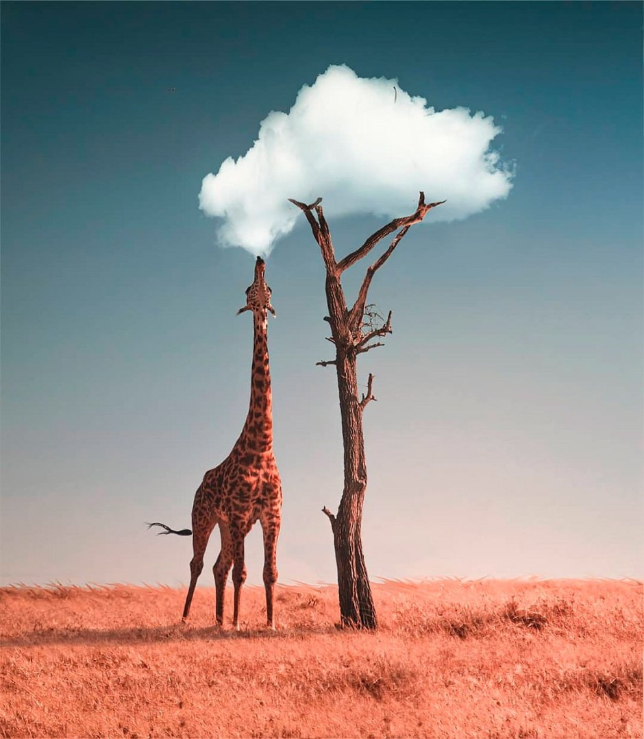 Giraffe Manor Найроби
