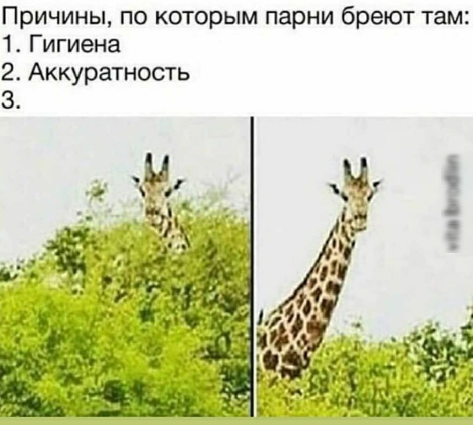 Женщина Жираф