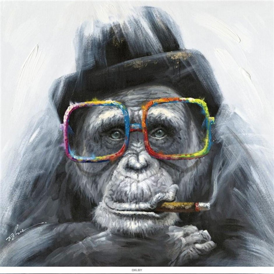 Yago partal Zoo portraits
