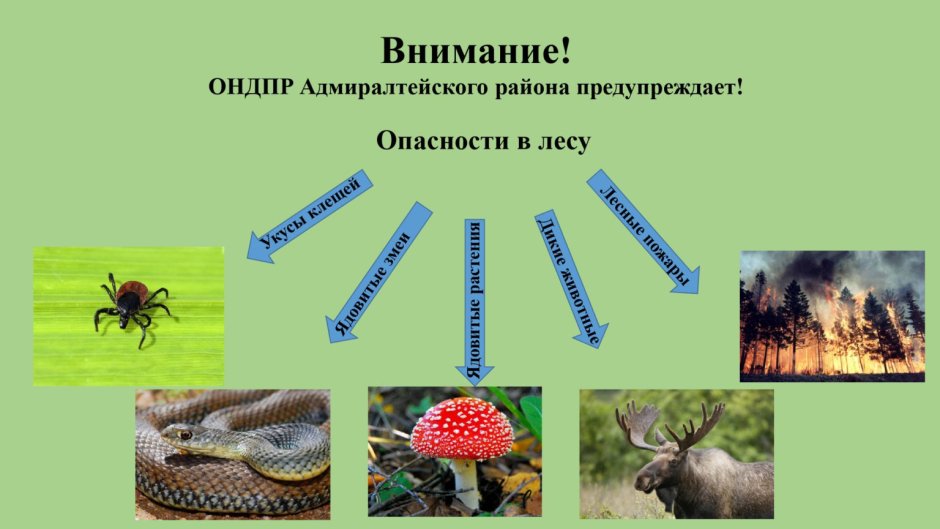 Биотоп водной экосистемы