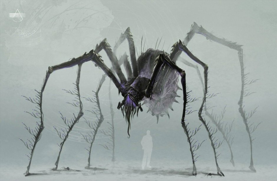Паук Cheiracanthium punctorium