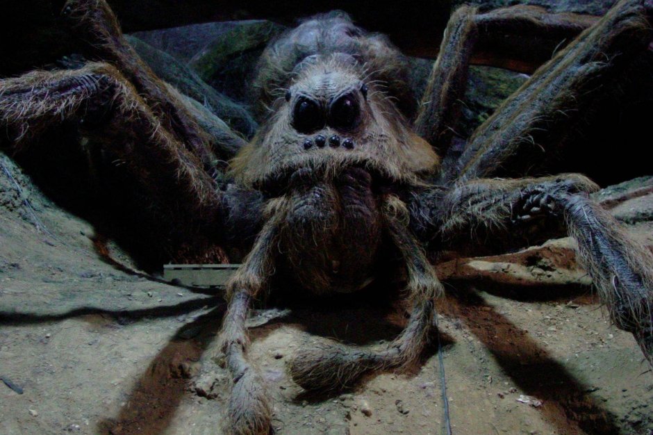 Ice Spiders 2007