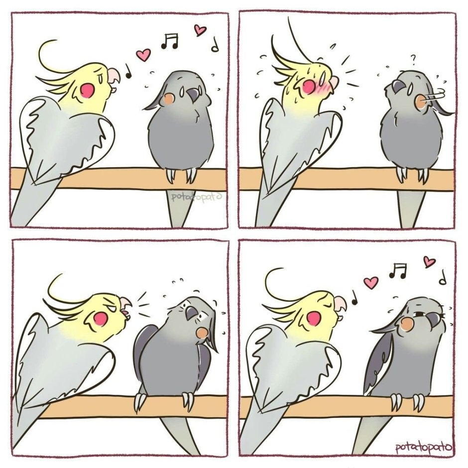 Папуг смешной