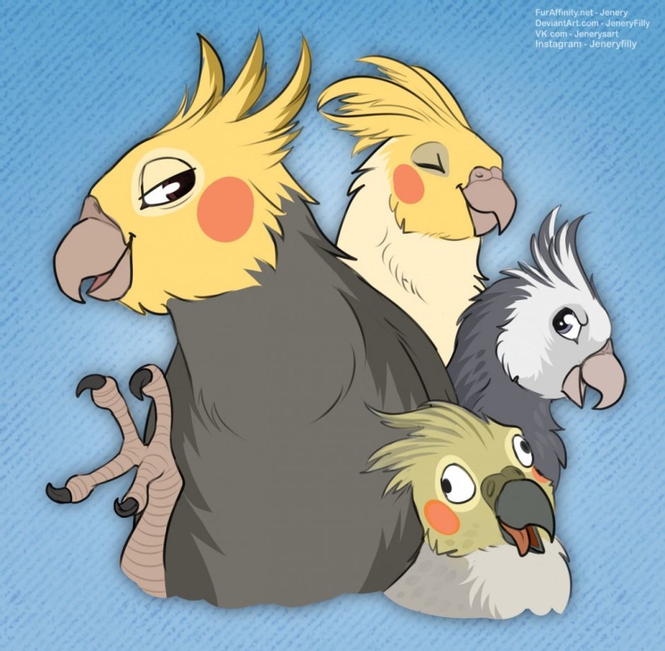 Пушистый попугайчик