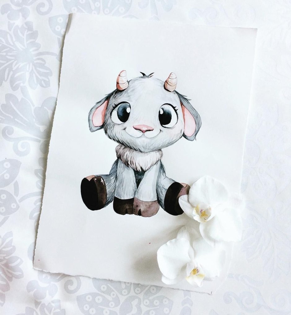 Белая Овечка