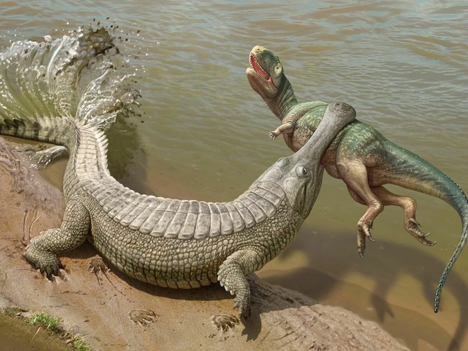 Крокодил Император Саркозух