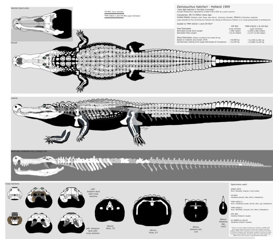 Дейнозух риогранденсис