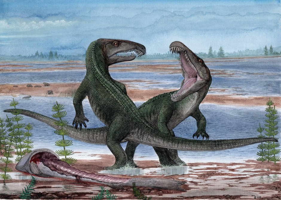 Гигантский Кайман пурусзавр