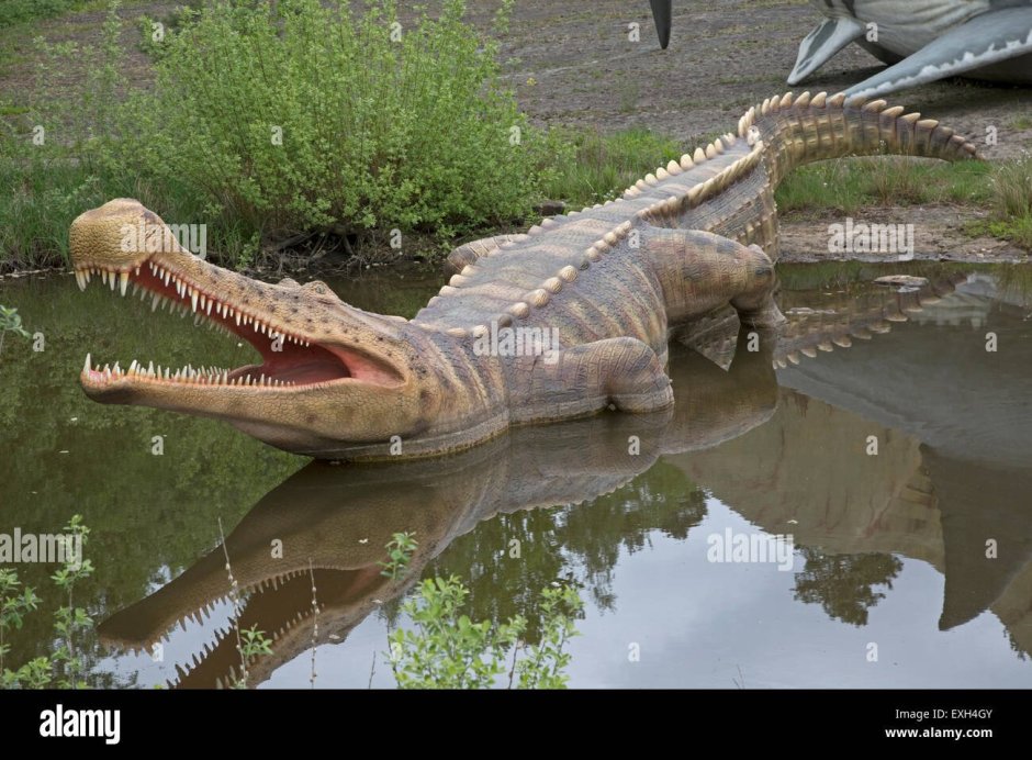 Предок крокодила Саркозух