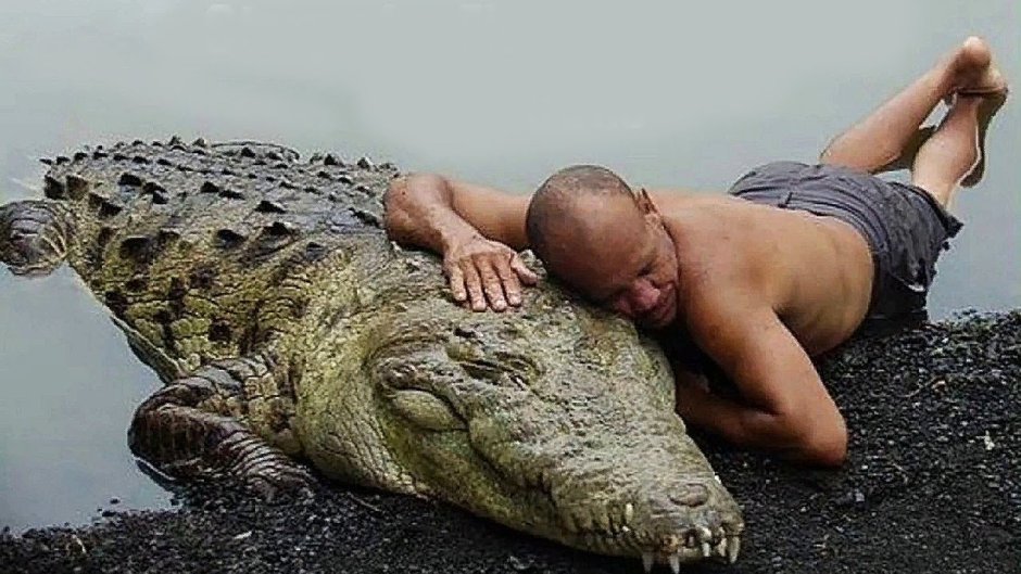 Доисторические крокодилы