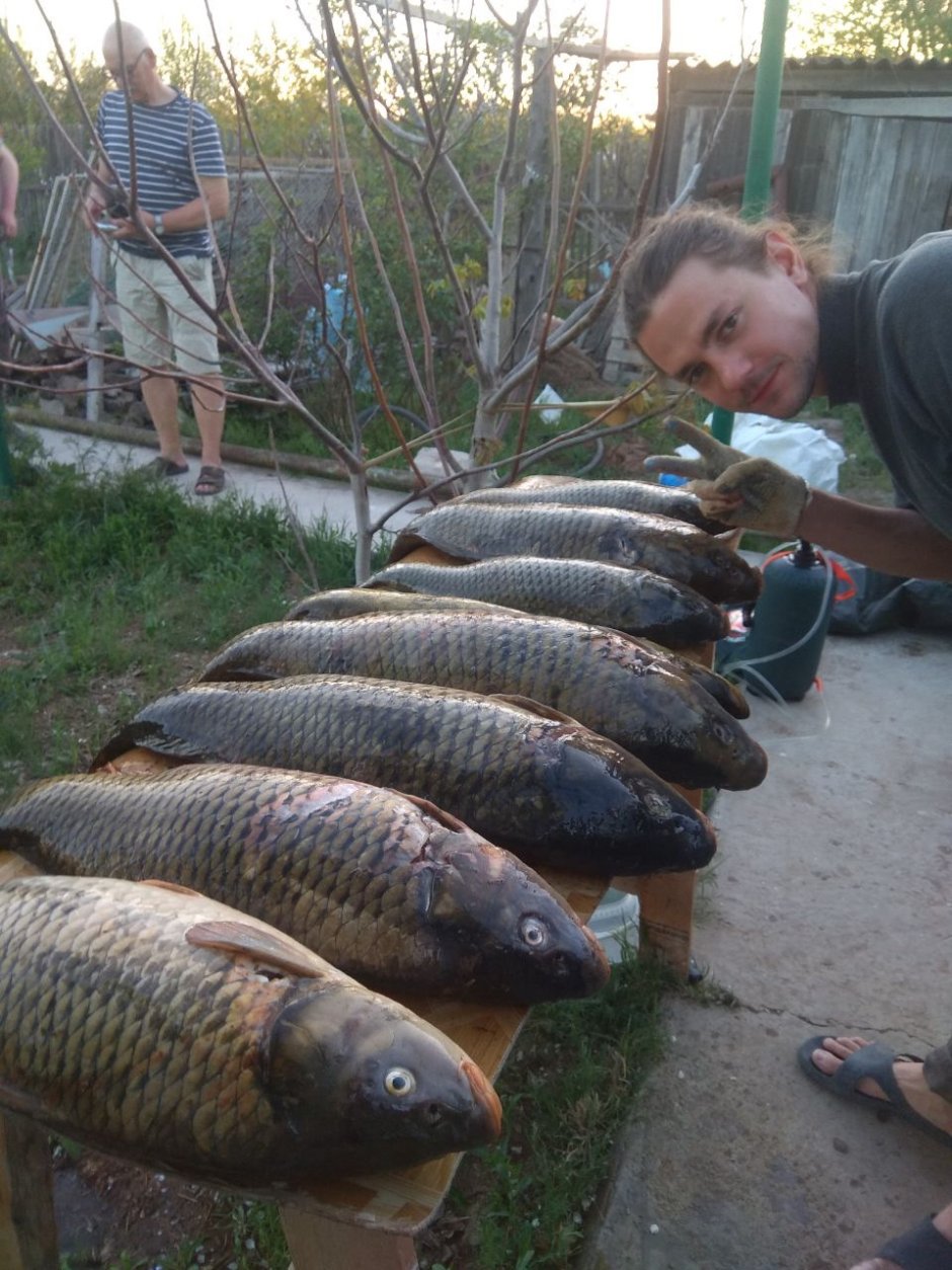 Сазан Астрахань