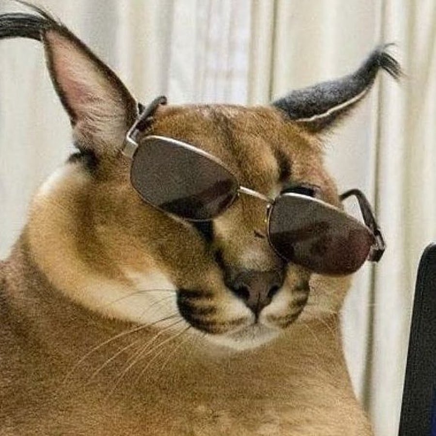 Шлепа в очках фото