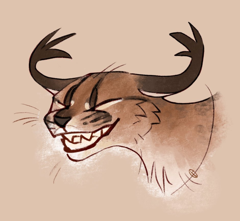 Шлёпа арт каракал