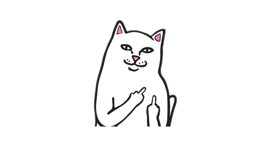 Кот показывает фак