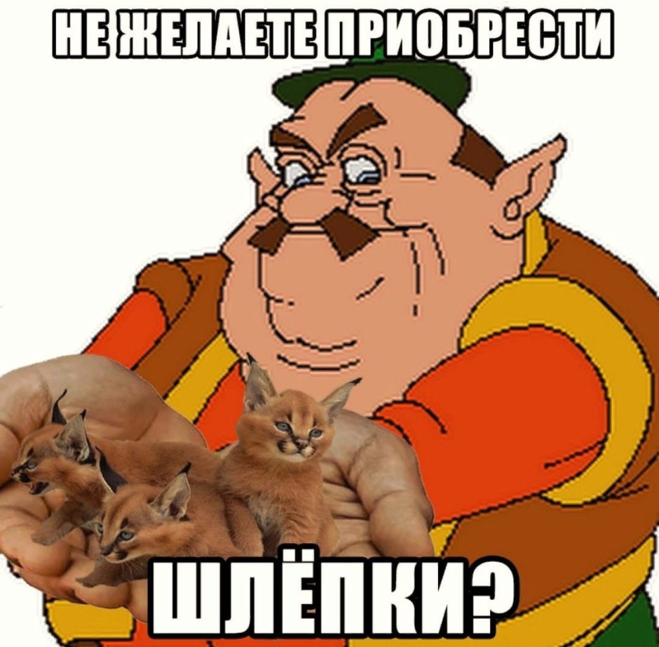 Шлёпа Мем кот