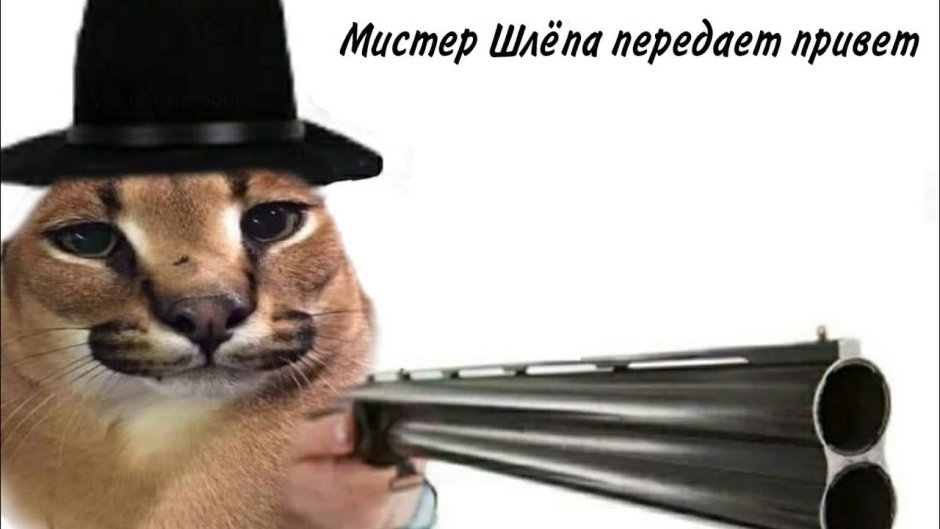 Шлепа большой русский кот с пистолетом