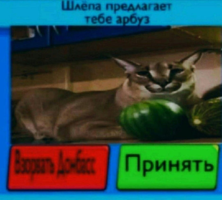 Шлёпа я жду