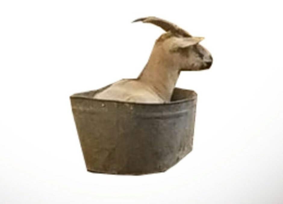 Козел в тазике