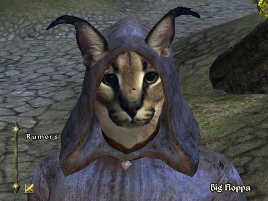 Флоппа Рысь