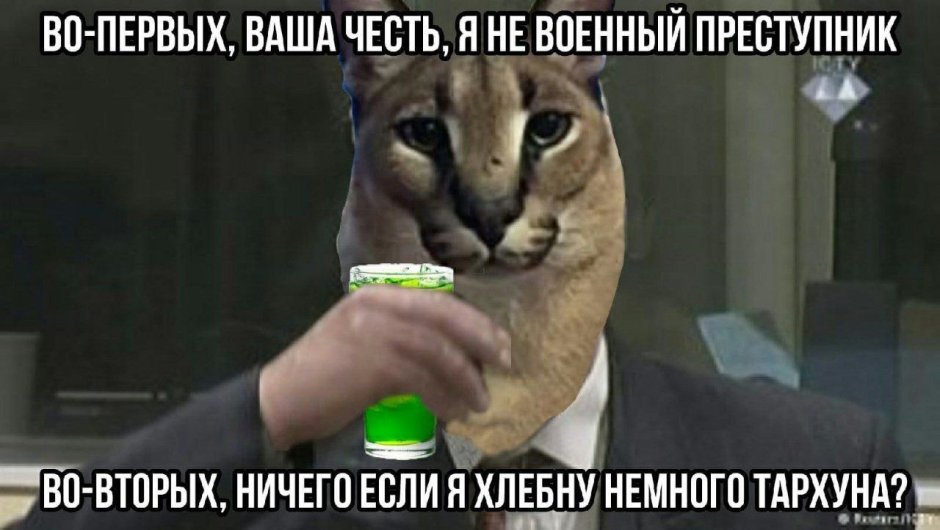Шлёпа Мем кот