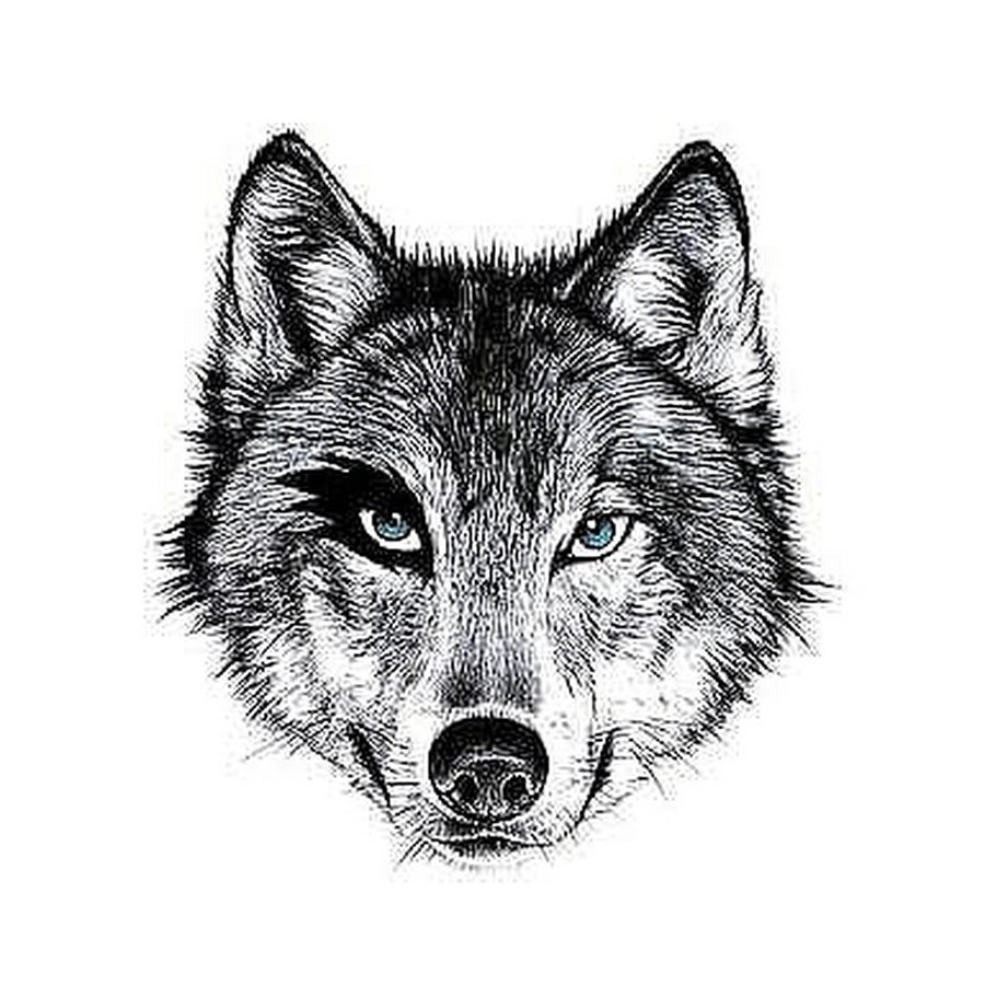 Волкособ грей