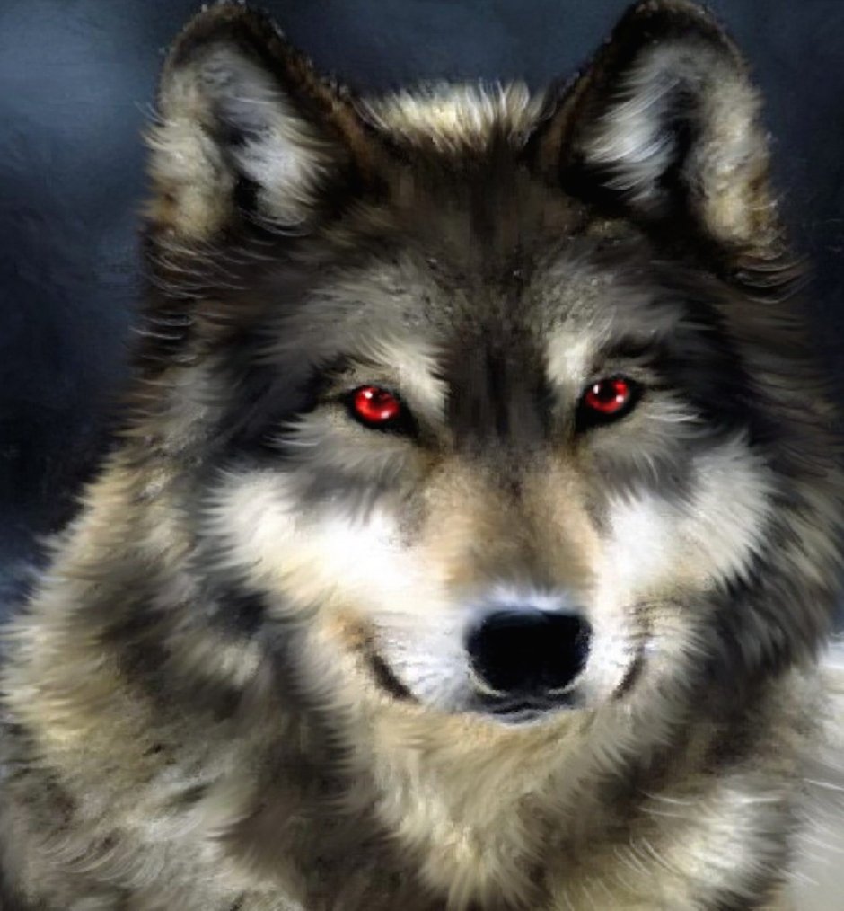 Цитаты волка