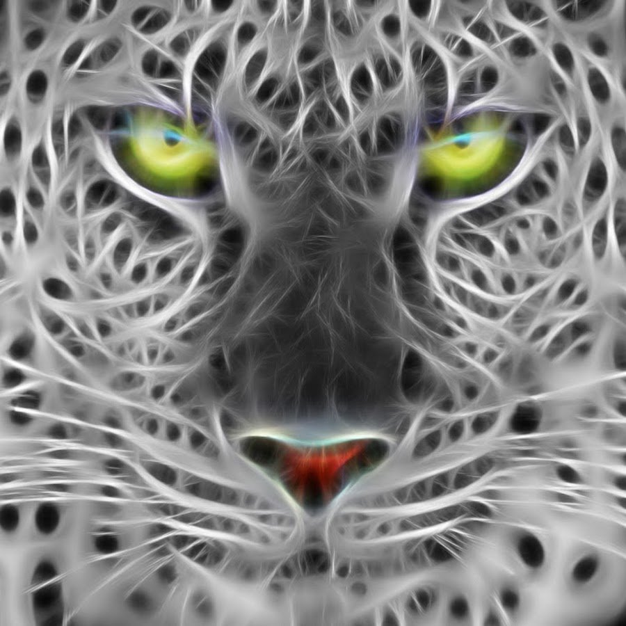 Белая пантера альбинос