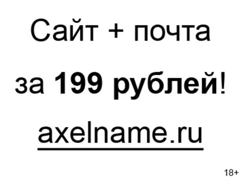 Бивер-Йоркширский терьер с человеком