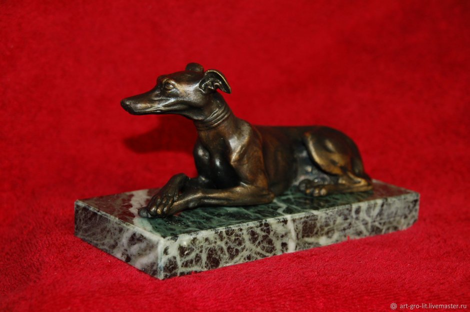 Балеарская Левретка