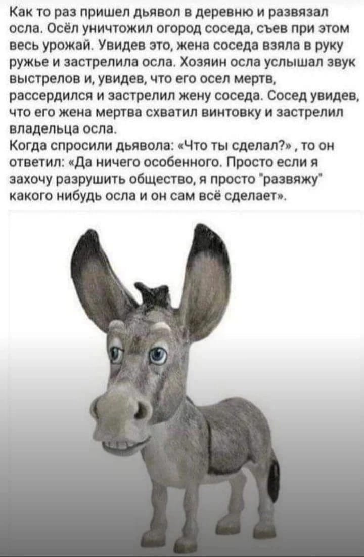 Осел дурак