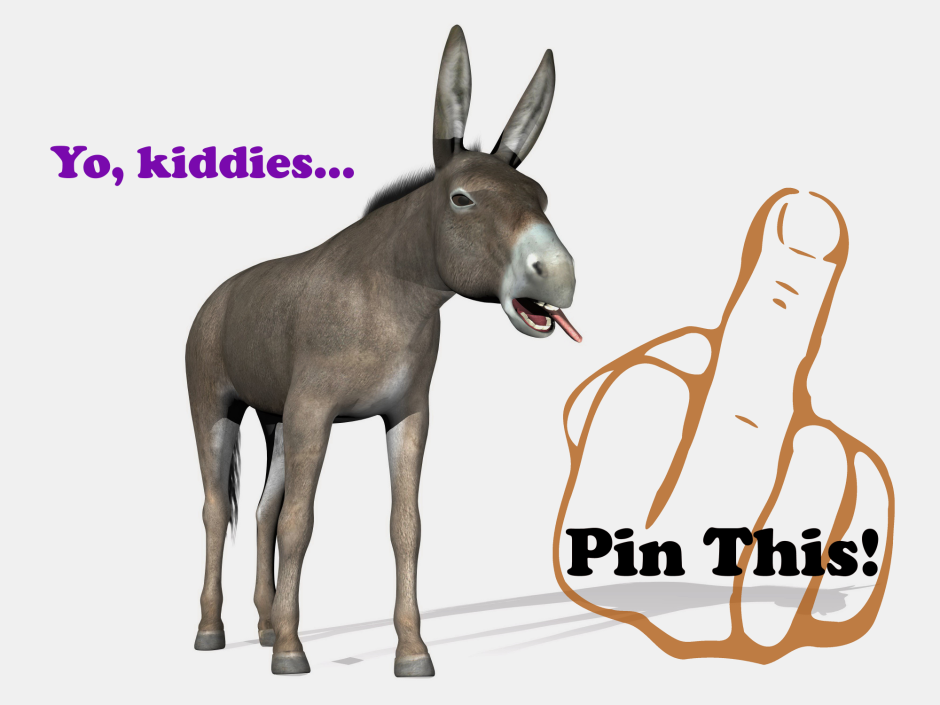 Рассказ про осла