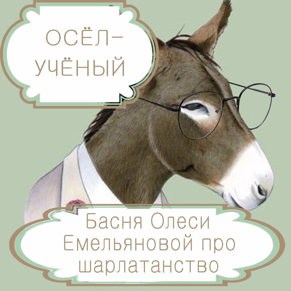 Морда осла профиль