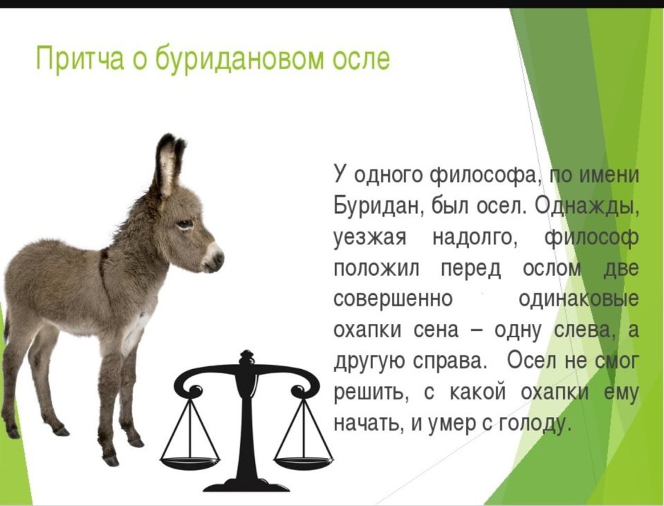 Буриданов осёл притча