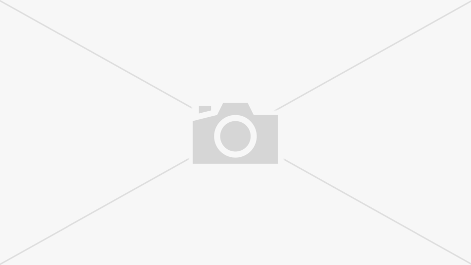 Ослик без хвоста