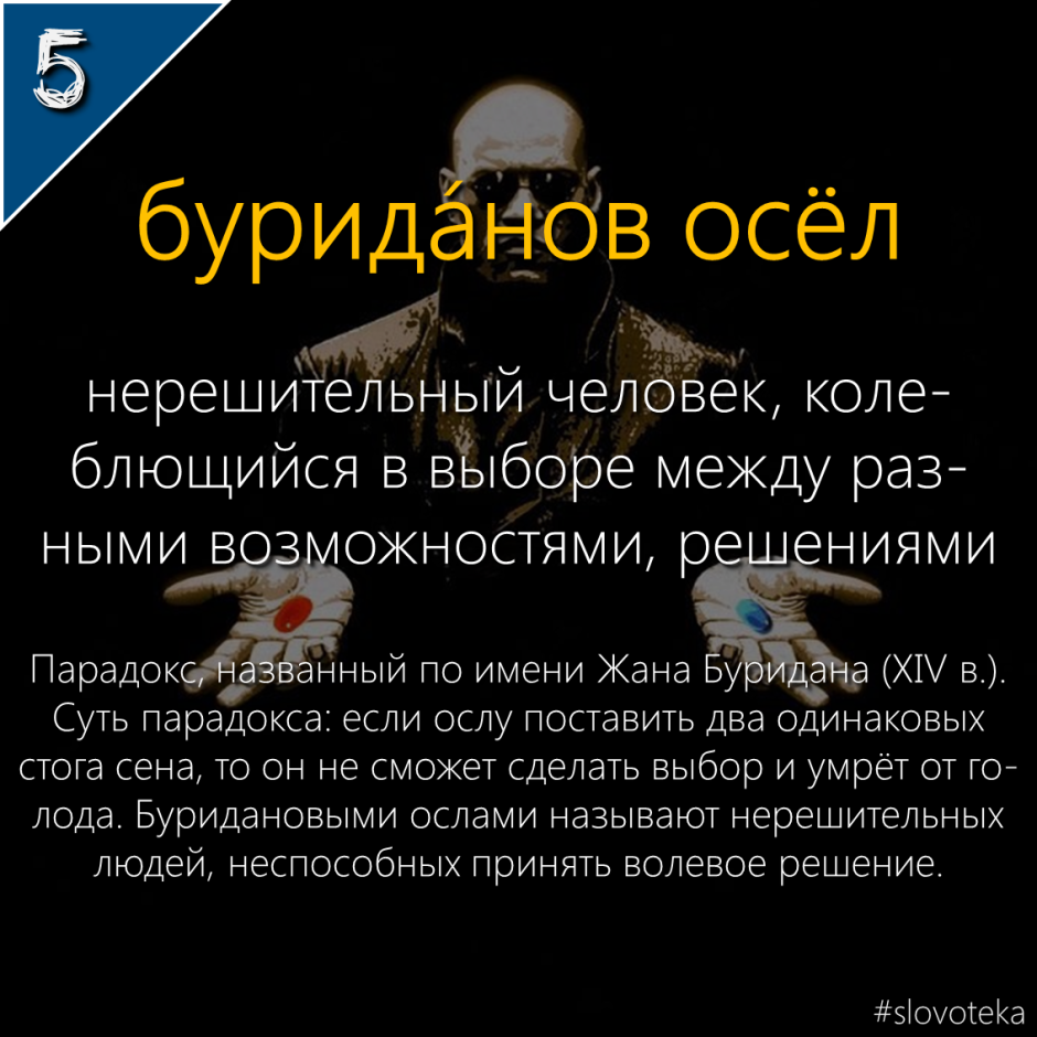 Спаривание осла с лошадью