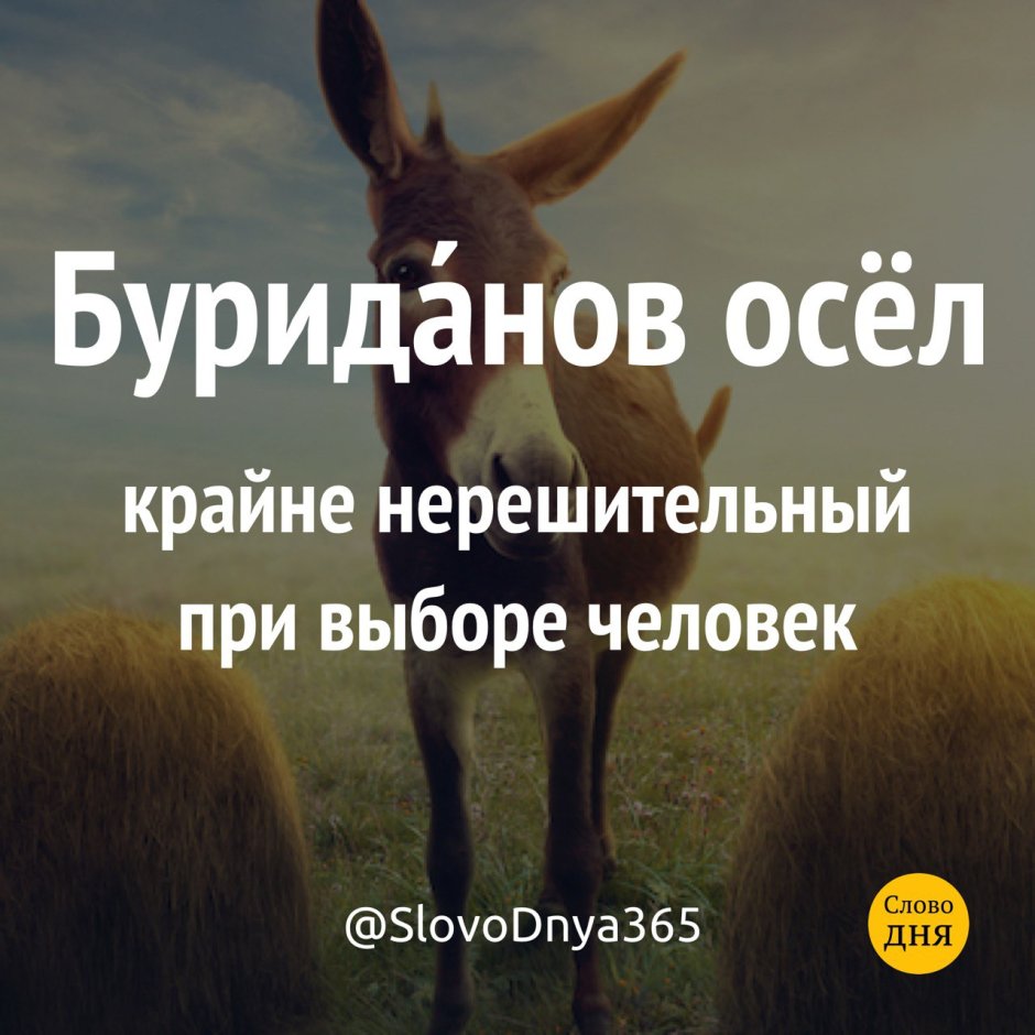 Буриданов осёл