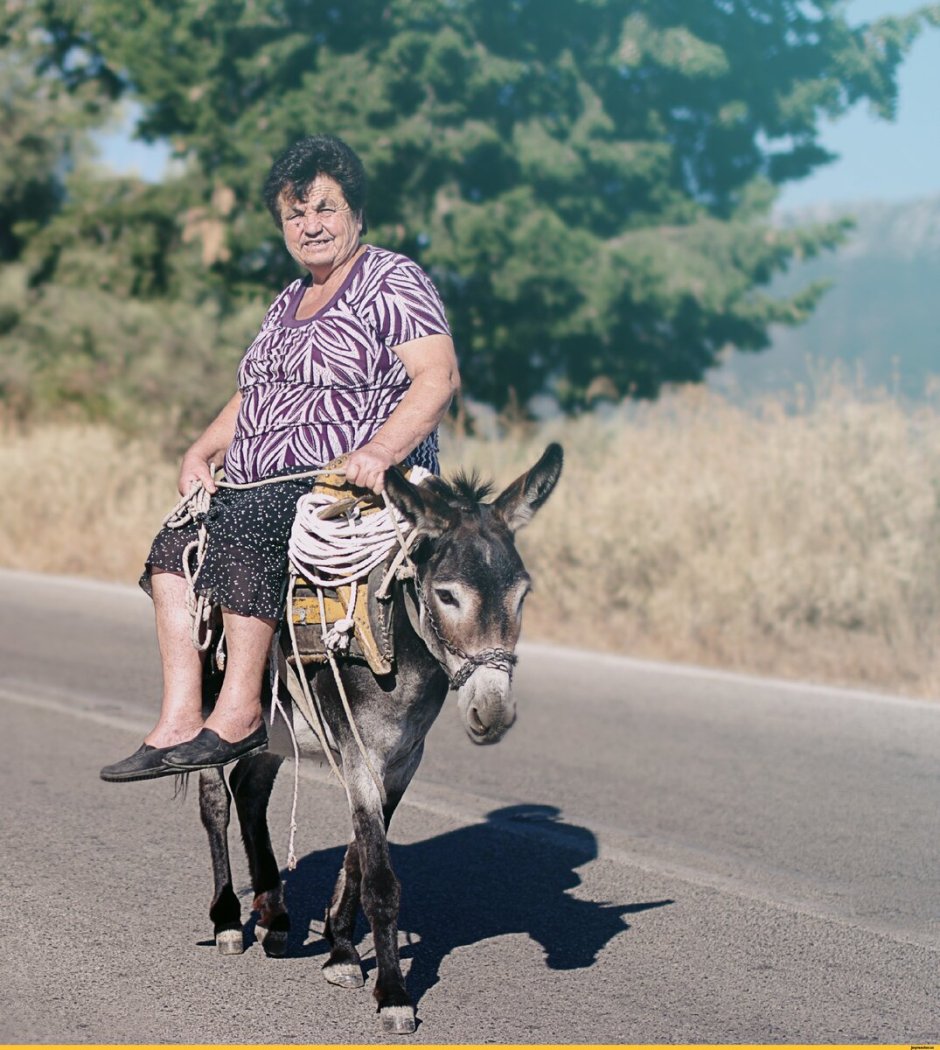 Ишак вонючий